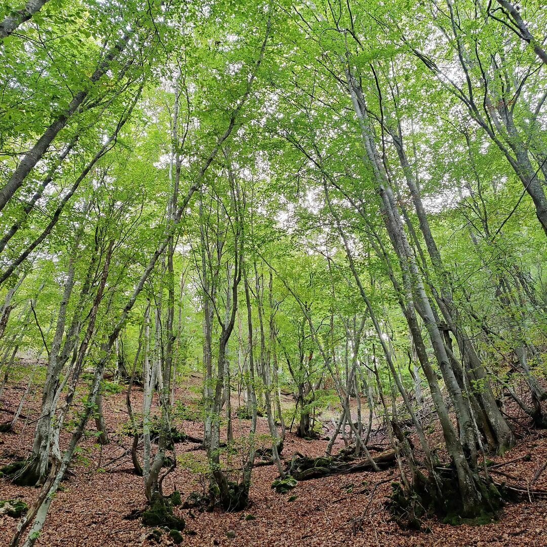 YHmEfjA883QeDIRwcC1KM07K5hE1pxNrpWeJrSyF.jpg