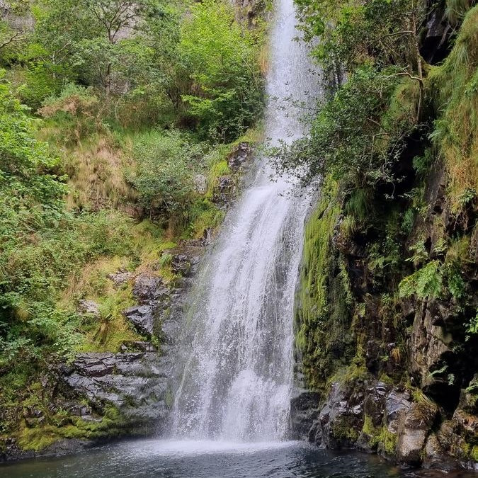 casada-del-coyo