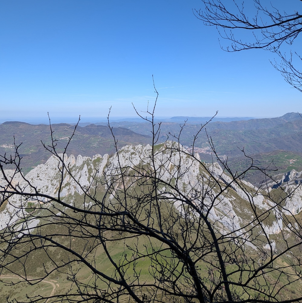 PXL_20260319_104343419