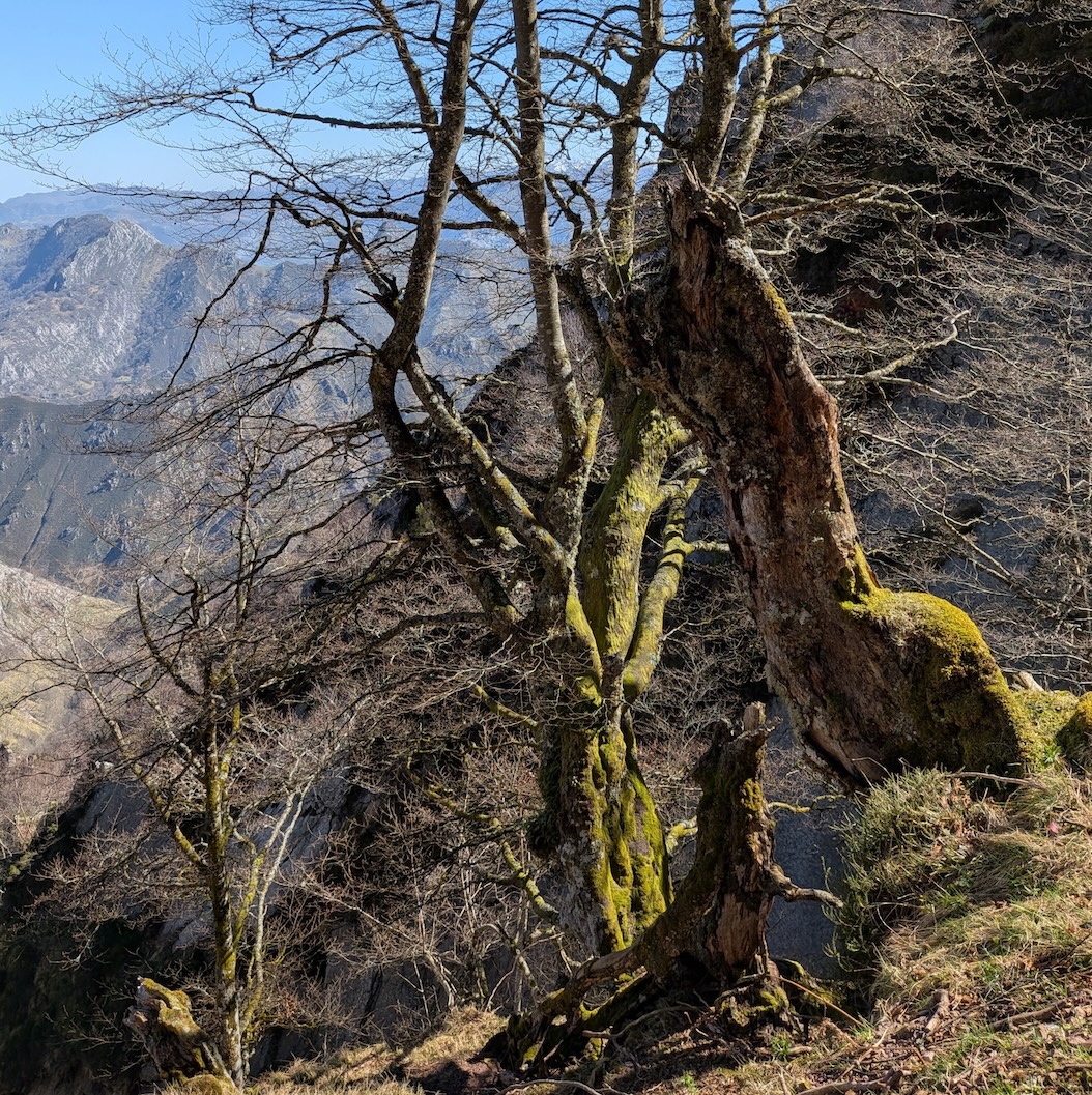PXL_20260319_112722369