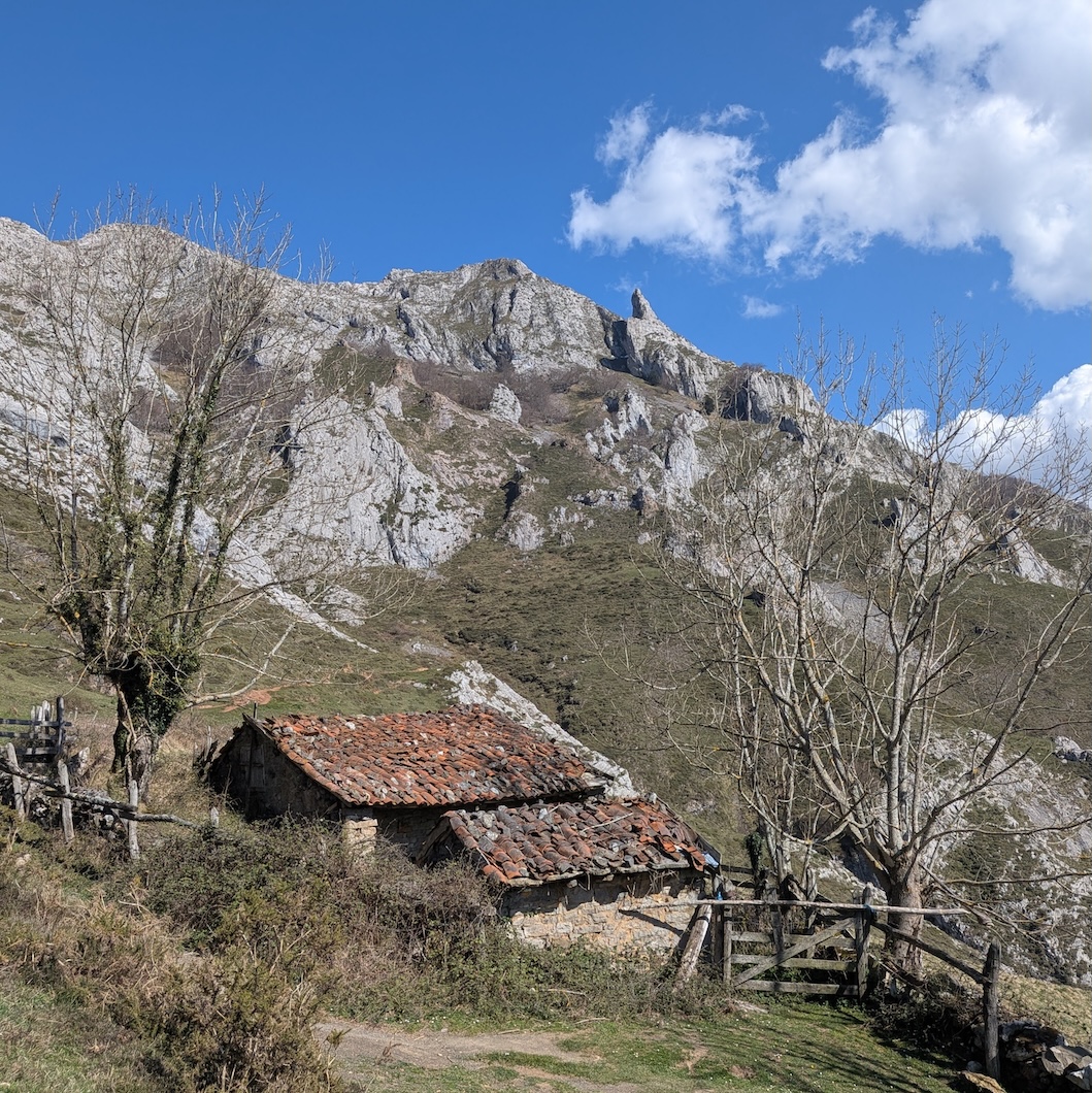PXL_20260319_142403660