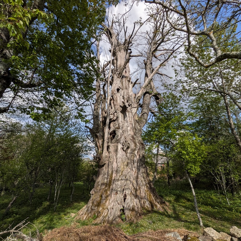 PXL_20260418_161301581