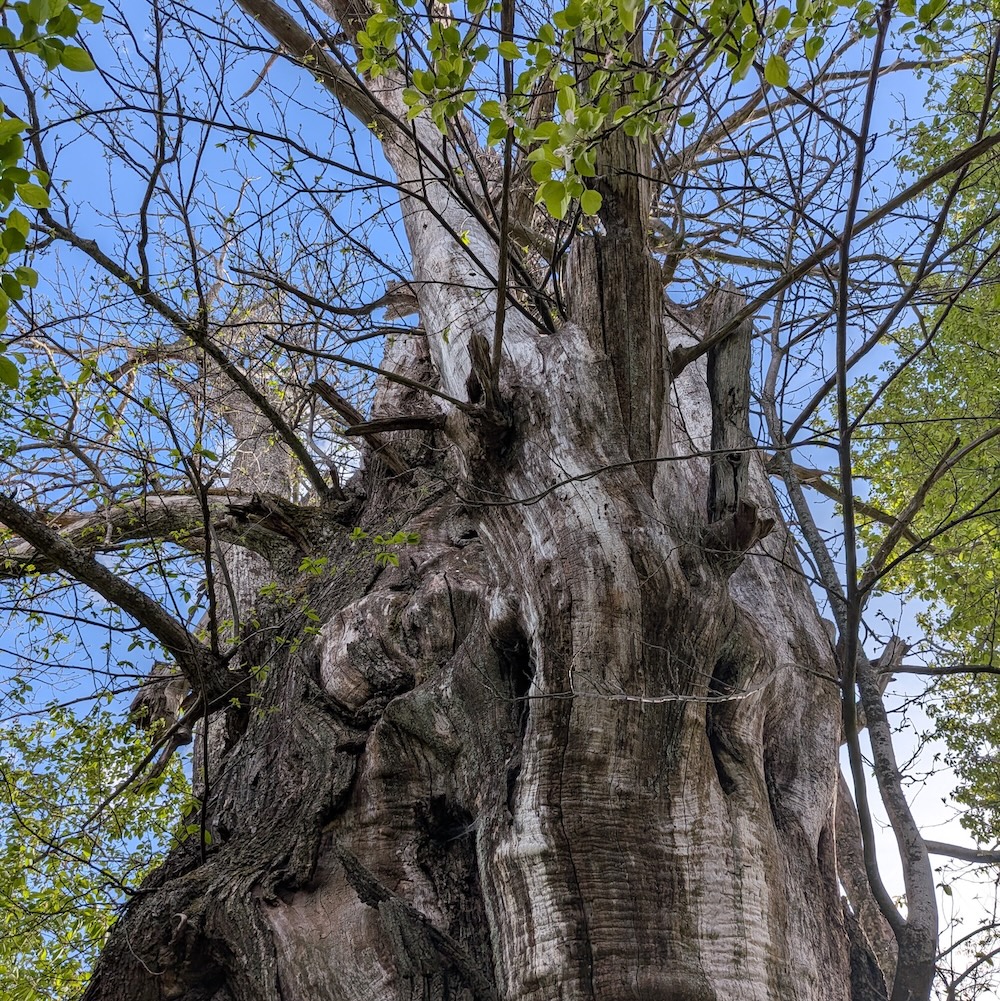 PXL_20260418_161431594