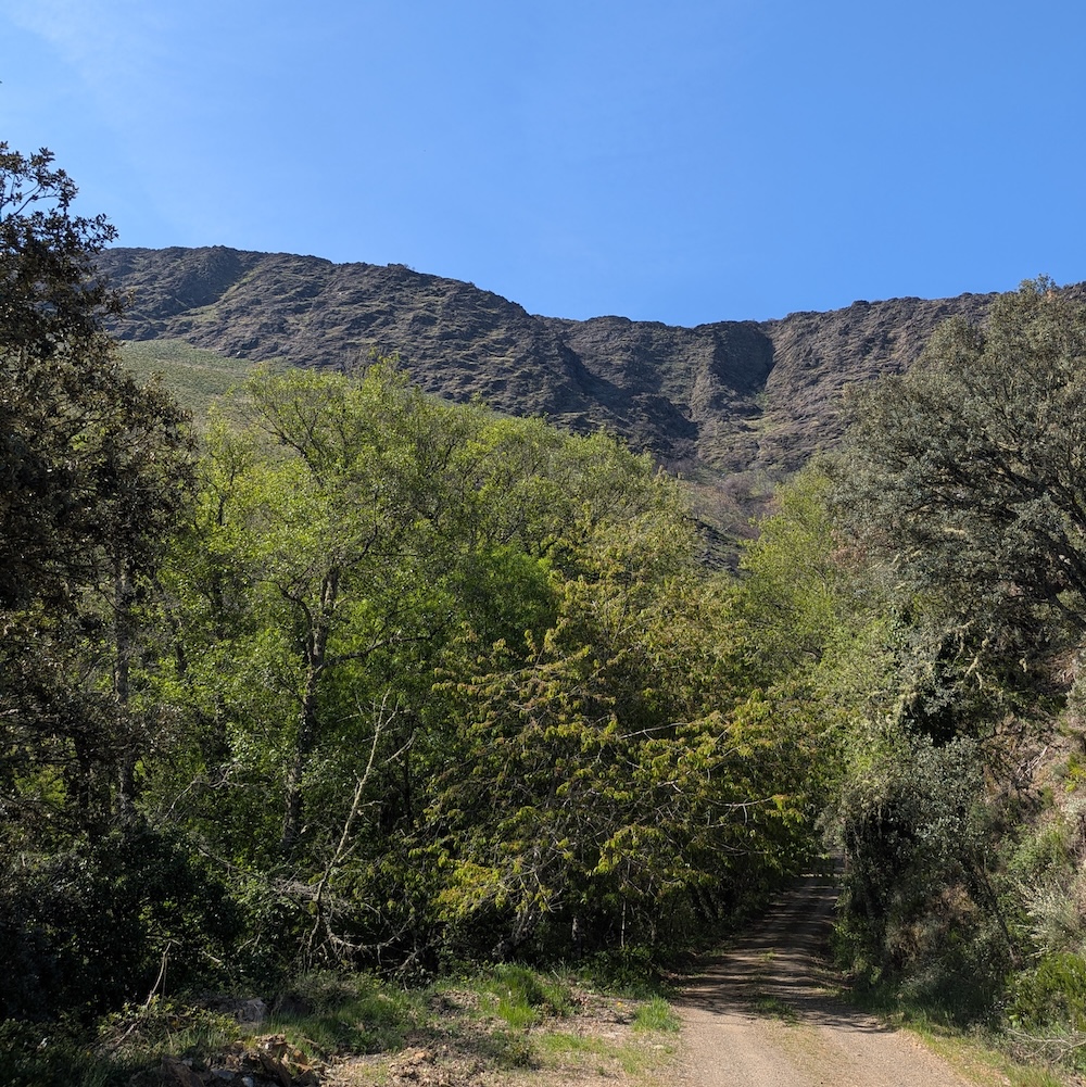 PXL_20260419_094714160
