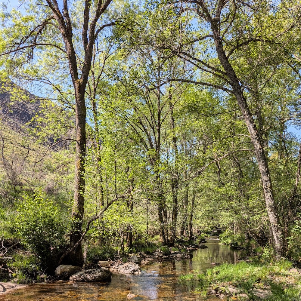 PXL_20260419_095448506