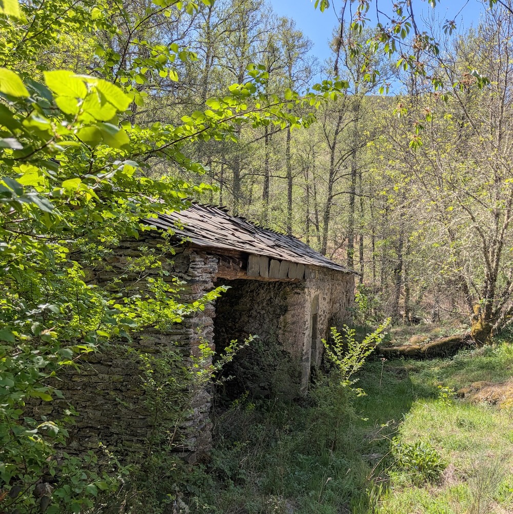 PXL_20260419_102722250