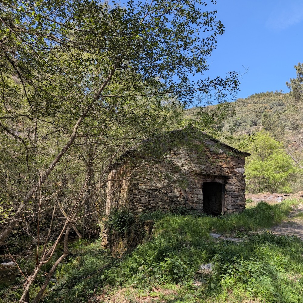 PXL_20260419_103657045