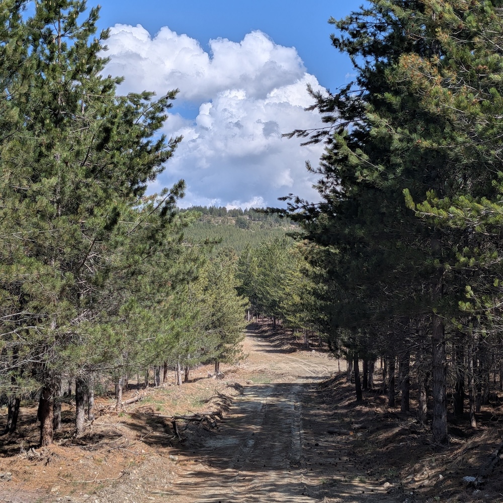 PXL_20260419_110259710