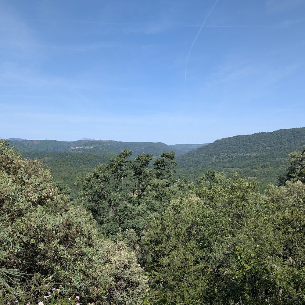 PXL_20260522_091053564