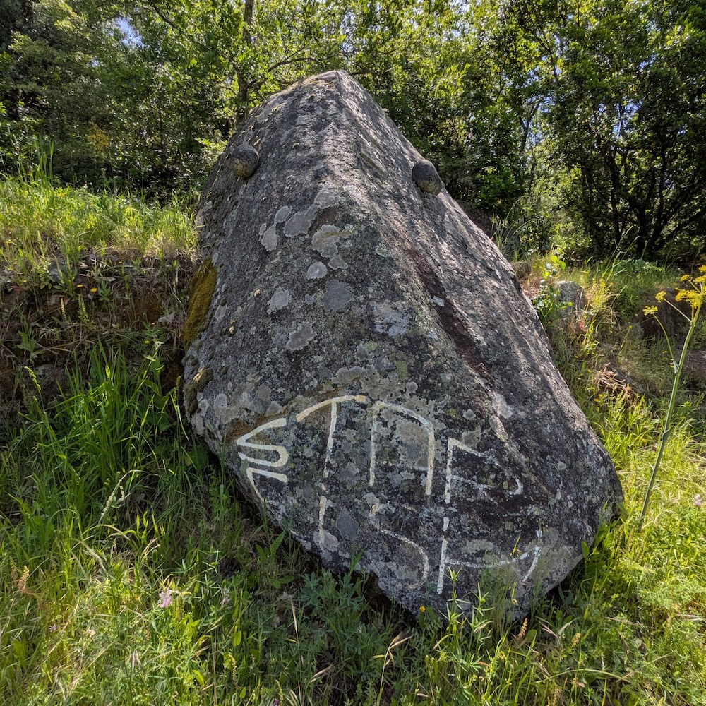 PXL_20260522_100932840