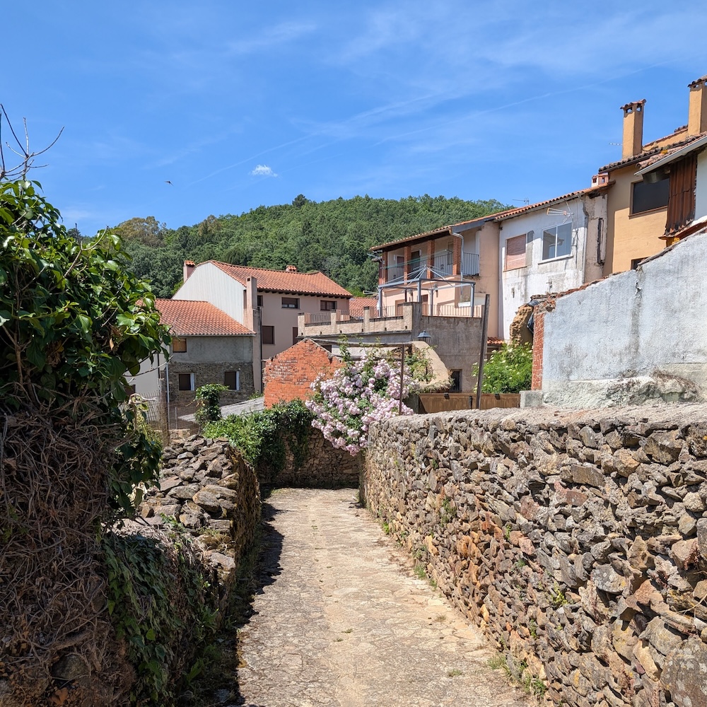 PXL_20260522_111802916