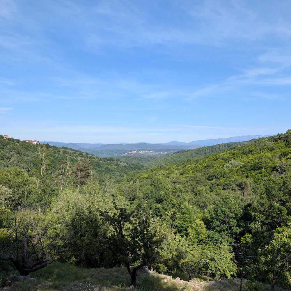 PXL_20260522_162446765