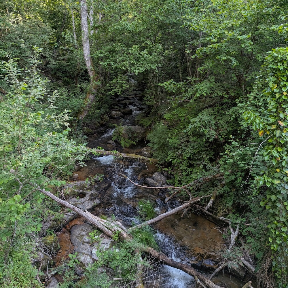 PXL_20260522_171019074
