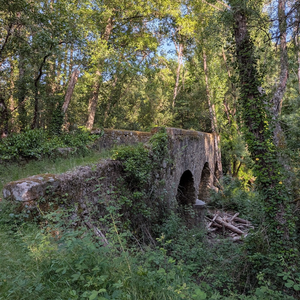 PXL_20260522_173349707