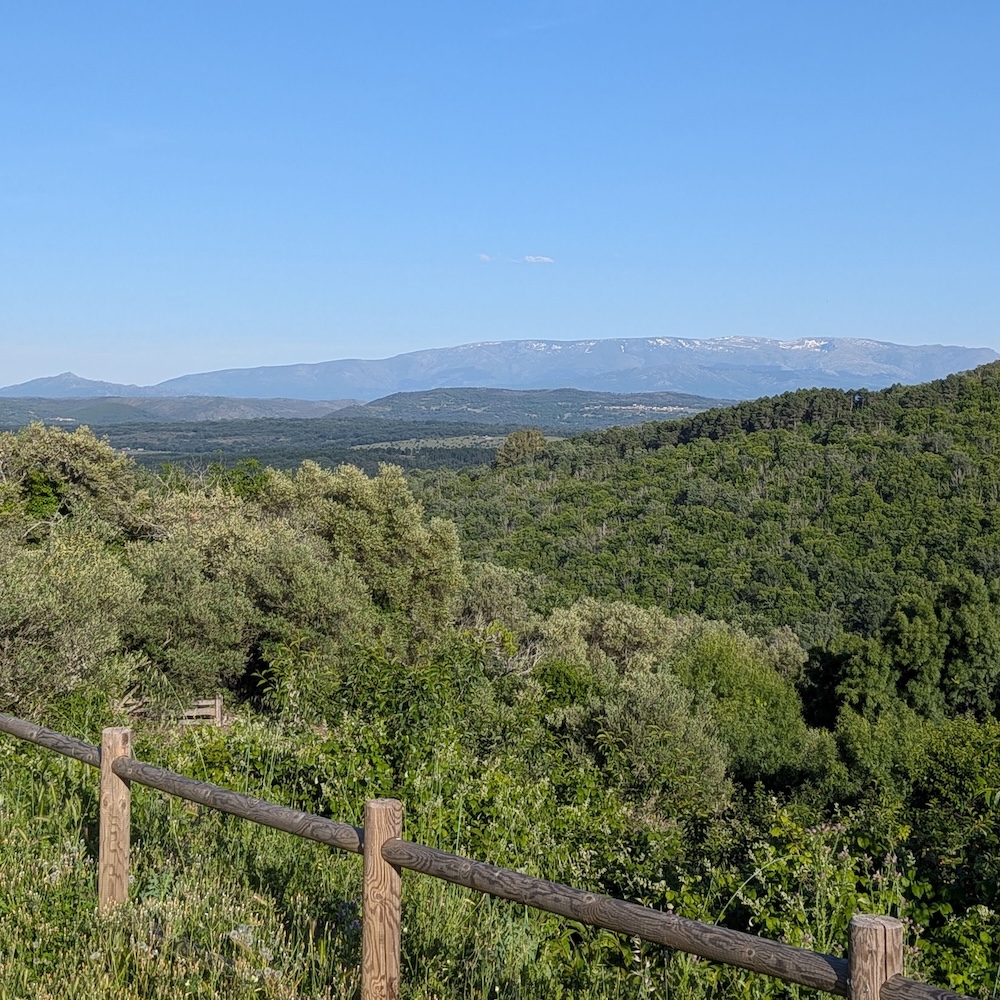 PXL_20260522_174739411