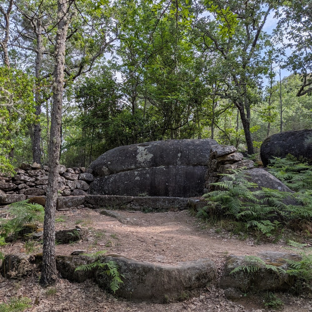 PXL_20260523_085402204
