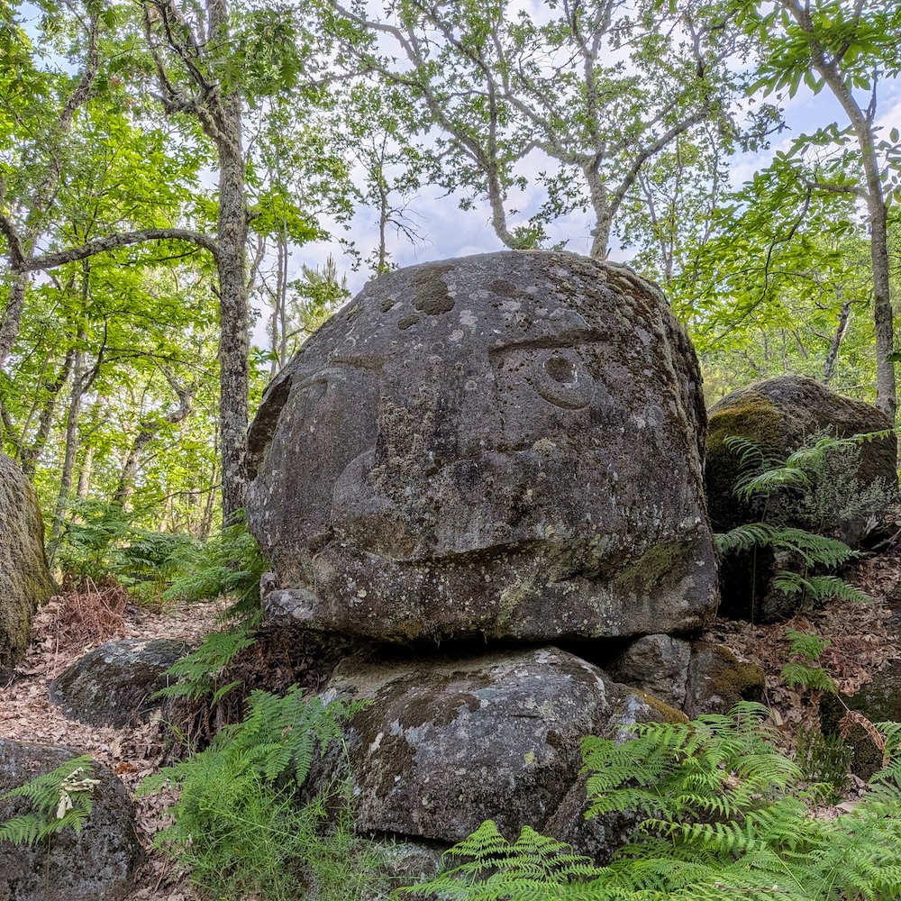 PXL_20260523_085433422