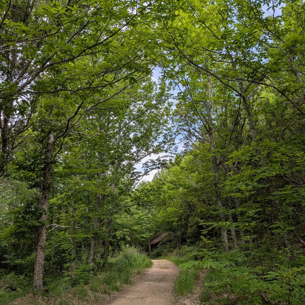 PXL_20260523_092214482