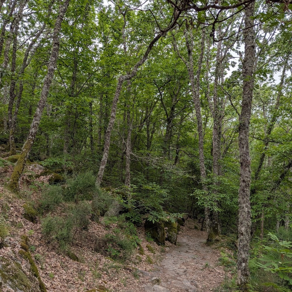 PXL_20260523_094202573