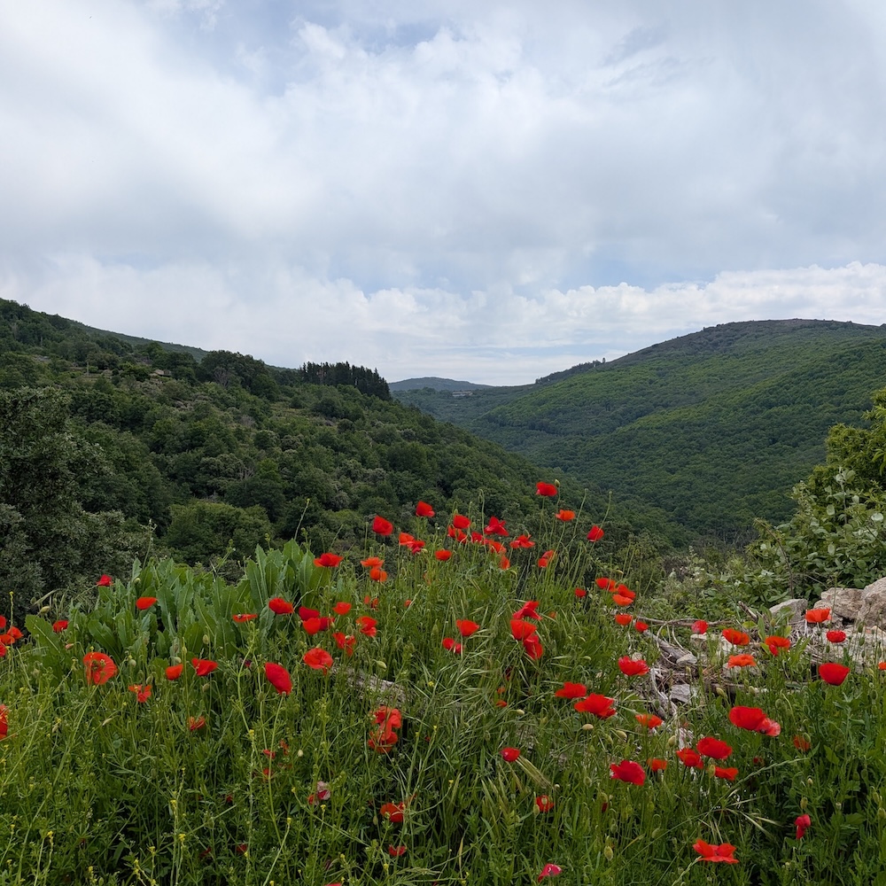 PXL_20260523_101029963