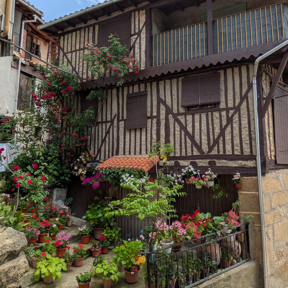 PXL_20260523_115103878
