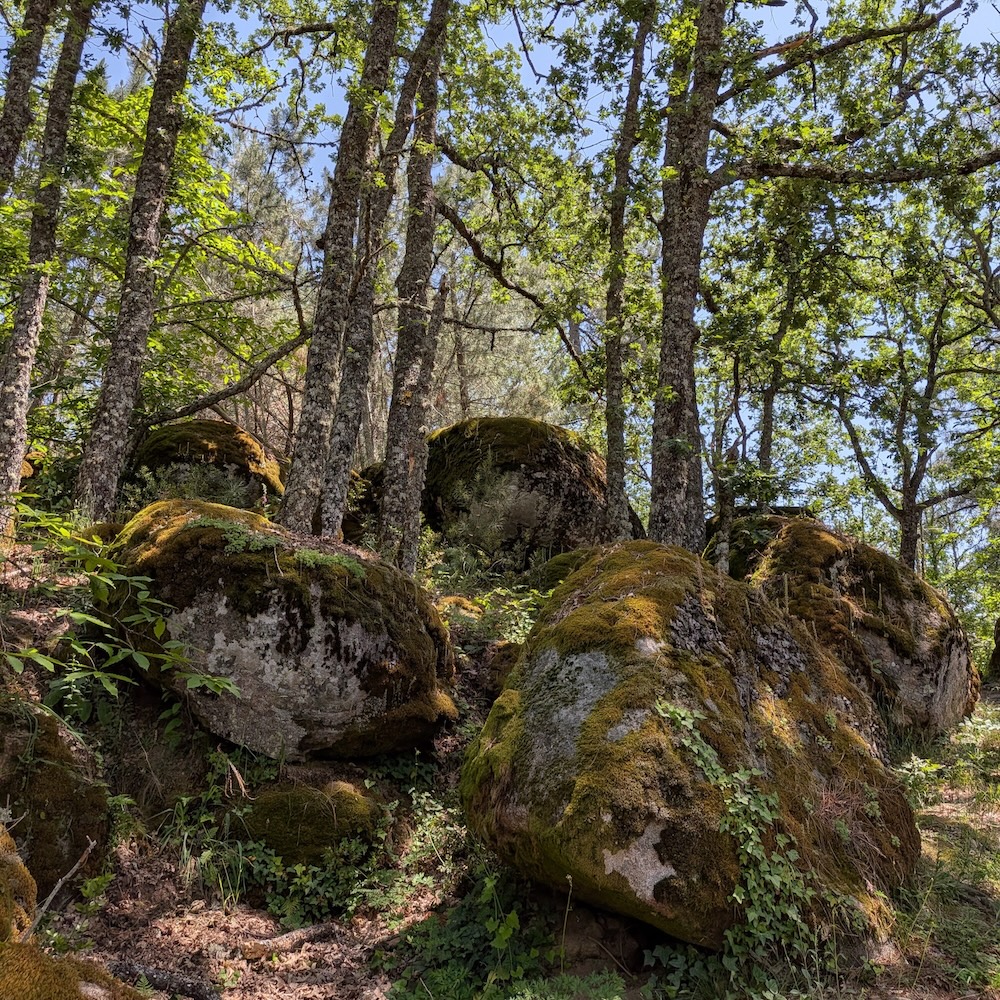 PXL_20260523_123721610